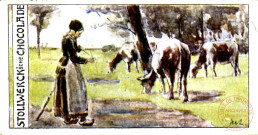 Femme gardant des vaches en pâture