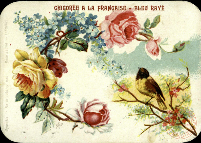 Bouquet et oiseau sur une branche