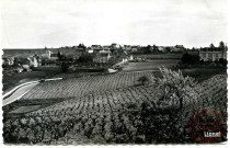 Chaudefonds (M.&amp;L.) - Les Coteaux Vignobles au Village d'Ardenay