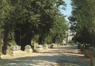 Arles - Les Alyscamps - L'Allée des Tombeaux