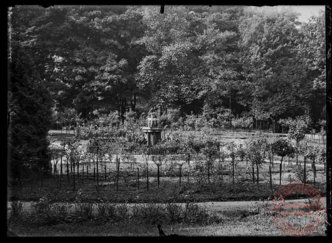 Roseraie, parc Napoléon à Thionville