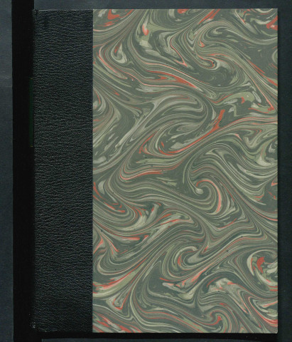 État civil : Registre d'état civil : naissances (1793)