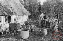 Cartes d'Autrefois (1890-1920) - Travail à la campagne - Normandie - Fabrication du cidre