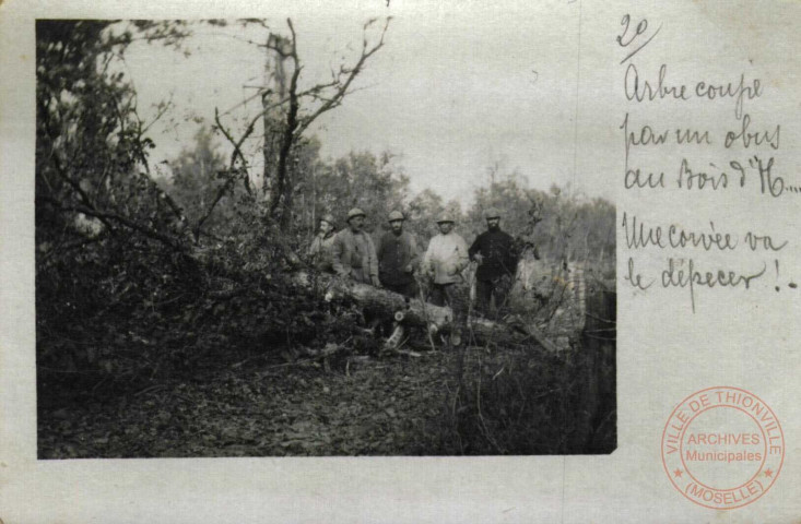 [Guerre de 1914 - Soldats posant devant un arbre coupé par un obus]