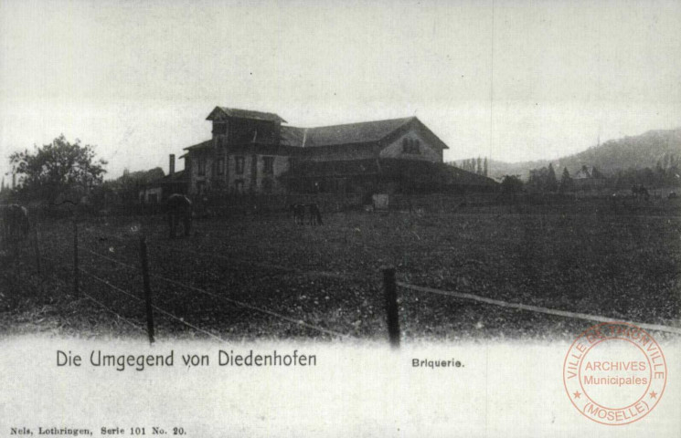Die Umgegend von Diedenhofen - Briquerie / Autour de Thionville en 1902 - La Briquerie - Au pâturage