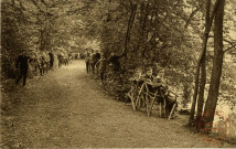 Petit Séminaire des Pères des Sacrés-Coeurs (Ecole Apostolique) Waudrez-les-Binche - Une allée dans le parc