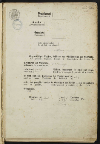 Registre d'état civil naissances (1872-1880)