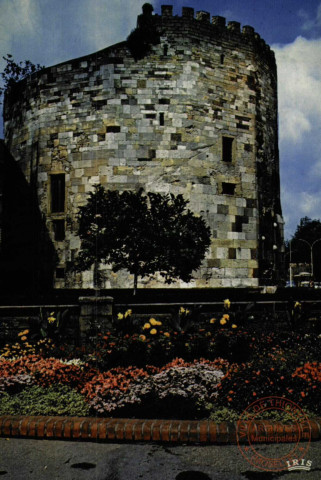 Thionville (Moselle) - La Tour aux Puces construction polygonale à 14 pans, vestige de l'ancien château des Comtes de Luxembourg (XIIIe s.)