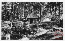 Saint-Dié - Les Molières - Le Kiosque