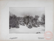 Parc du château du barrage à Thionville, quartier Beauregard - Paysage enneigé