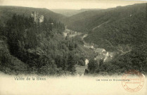 Vallée de la Blees. Les Ruines de Brandenbourg.