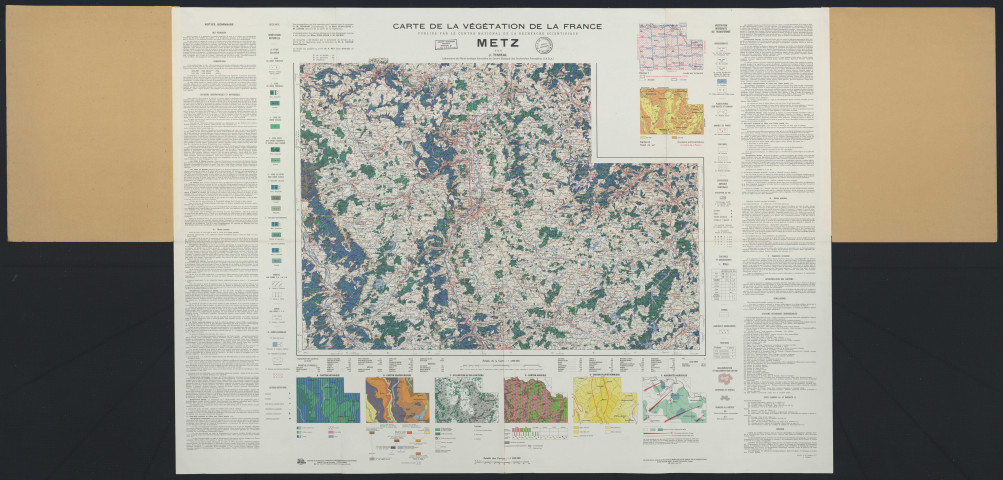 CARTE DE LA VEGETATION DE LA FRANCE : METZ N°18