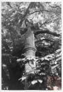 Bildstock situé rue de la Justice à Puttelange-lès-Thionville, juste après la maison des associations. Croix monumentale dite Croix de Justice, datée 1643