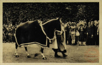 Funérailles Nationales du Maréchal Lyautey à Nancy le 02 août 1934 - Le Cheval d'Armes du Maréchal