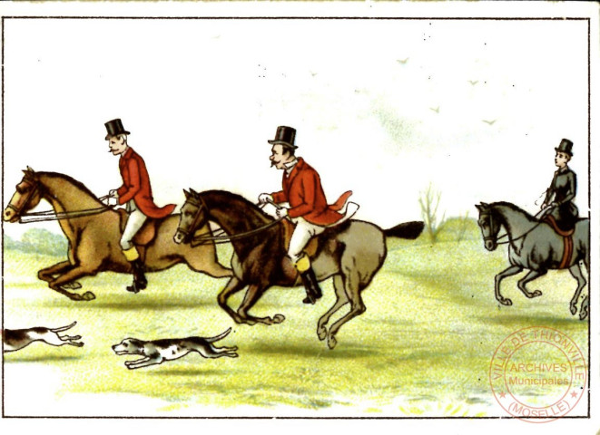 Chasse à cour