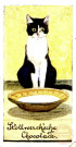 Chat devant un bol de lait