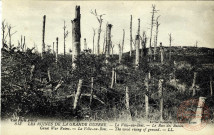 Les Ruines de la Grande Guerre - La Ville-au-Bois - Le Bois des Buttes