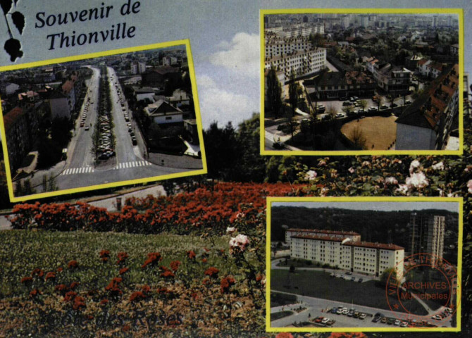 Souvenir de Thionville - Côte des Roses