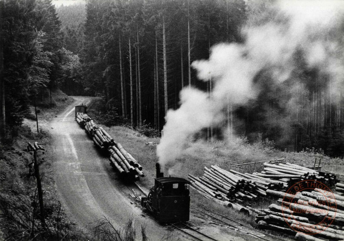 ABRESCHVILLER (Moselle) - Centre Touristique - Transport de bois par le chemin de fer forestier.