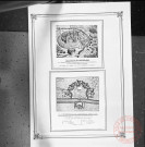 Exposition sur les fortifications à Thionville en 1970 par Georges Martig - Thionville au Moyen-Âge et vers 1670