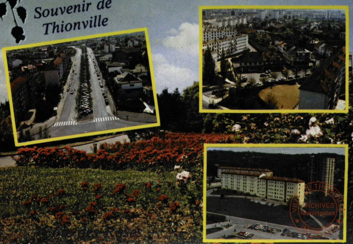 Souvenir de Thionville - Côte des Roses