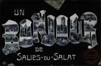 UN BONJOUR DE SALIES-DU-SALAT