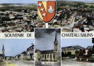 Souvenir de Chateau-Salins