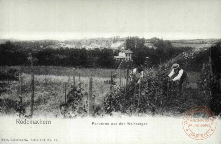 Rodemachern - Panorama aus den Weinbergen / Rodemack en 1902 - Le travail dans la vigne