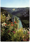 Les Gorges de l'Ardèche - Vue du Belvèdère de la Madeleine