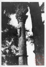 Bildstock de Bohler, route d'Usselkirch à Breistroff-la-Grande. Croix monumentale de 5m de hauteur datée 1715