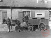 M. BOELINGER, père conduisant le véhicule hippomobile du service de ramassage des ordures ménagères