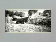 Paysages de Lorraine