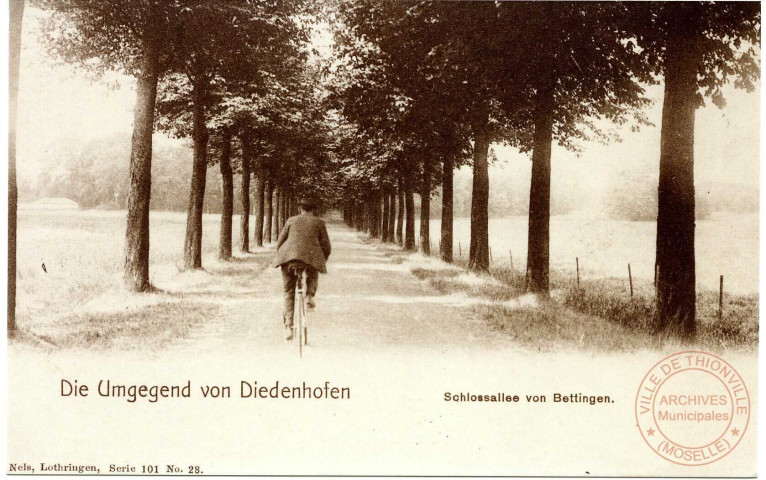 Die Umgegend von Diedenhofen - Schlossallee von Bettingen