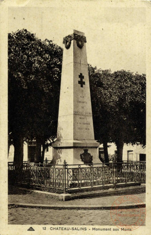 Chateau-Salins - Monument aux Morts