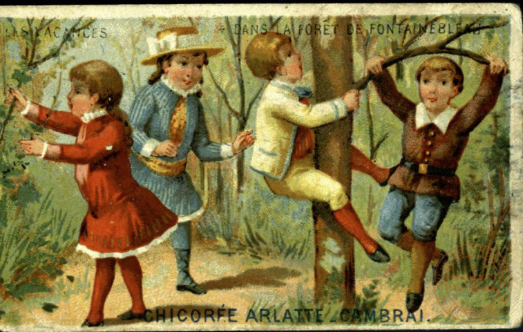 enfants dans la forêt de Fontainebleau