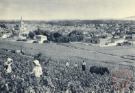 [Champagne Pommery et Greno, Reims - Ay, vue générale. Premier cru de raisins noirs]