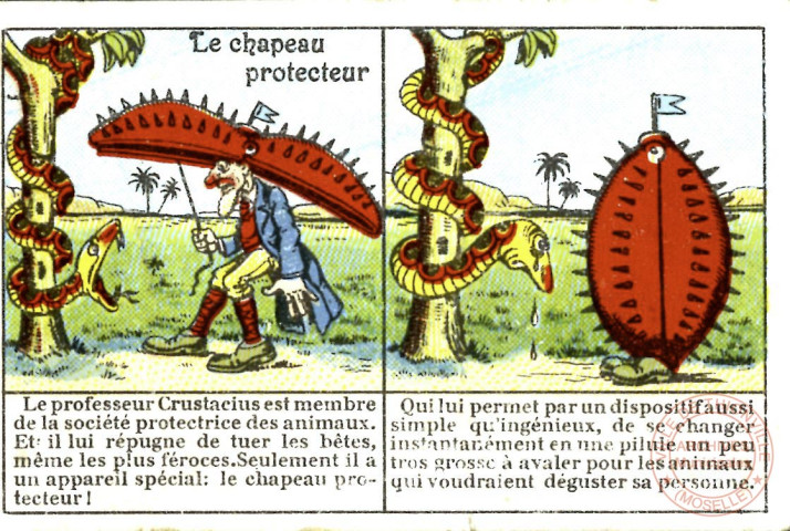 Le chapeau protecteur du professeur Crustacius