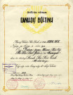 Diplôme militaire vietnamien attribué à Irion Jean Henri en 1954.