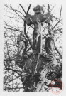 Bildstock XVIIIe situé à l'angle de la rue de la gare et de la rue Principale à Puttelange-lès-Thionville. Réalisé par Nicolas Greff