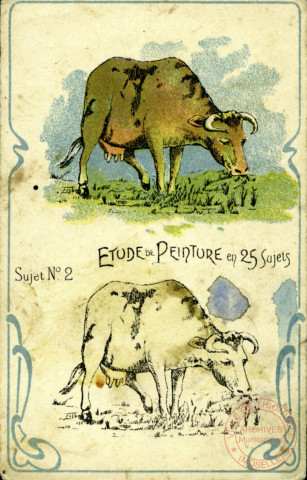 Etude de peinture: sujet n°2 - La vache.