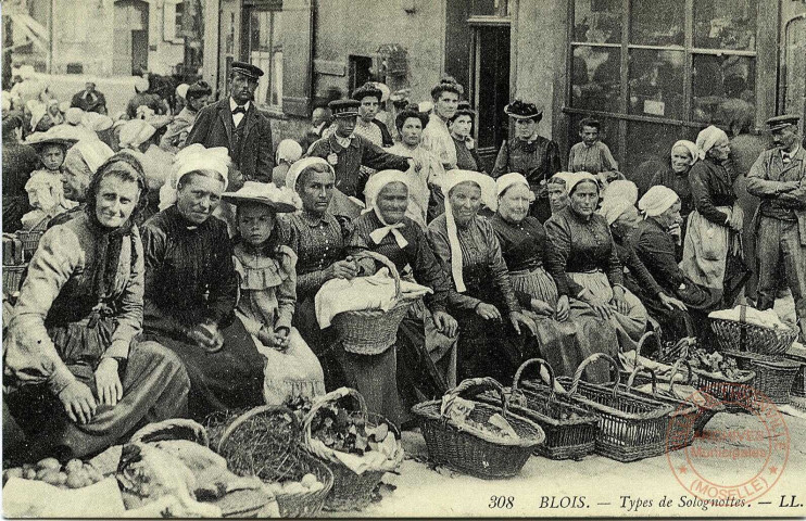 BLOIS - Types de Solognottes