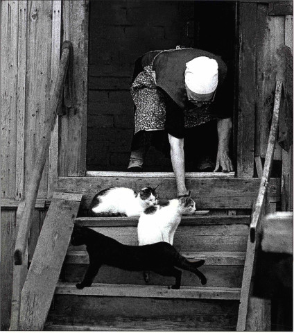 Old age - the territory of lineliness