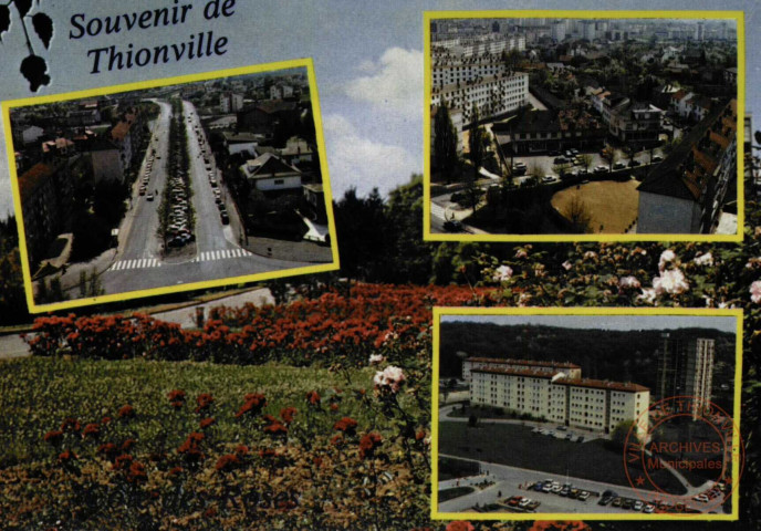 Souvenir de Thionville - Côte des Roses