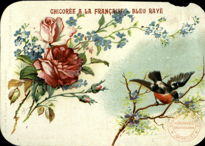 Bouquet et oiseau sur une branche