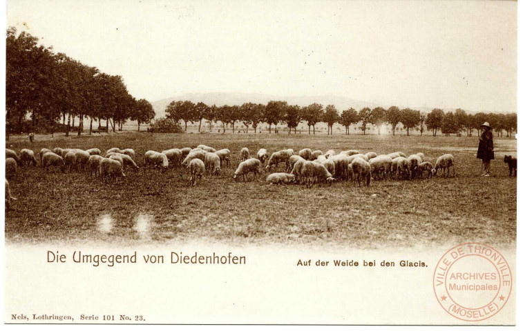 Die Umgegend von Diedenhofen - Auf der Welde bei den Glacis