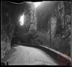 Arrière d'une calèche sur une route de montagne