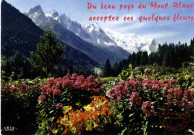 Du beau pays du Mont Blanc acceptez ces quelques fleurs