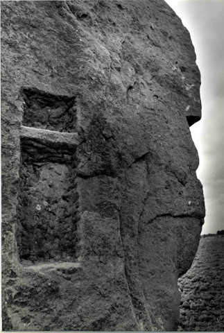 Les menhirs de l'Europe