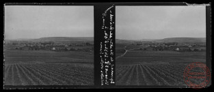Epernay (51), la montagne de Reims en fond