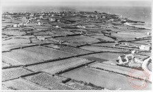 63. Agriculture - La culture des primeurs sur la côte Nord, Roscoff